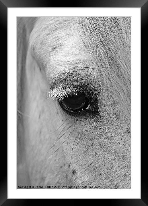 Window to the Soul Framed Mounted Print by Donna Collett