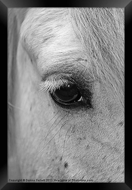 Window to the Soul Framed Print by Donna Collett