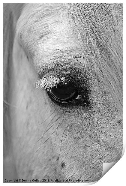 Window to the Soul Print by Donna Collett