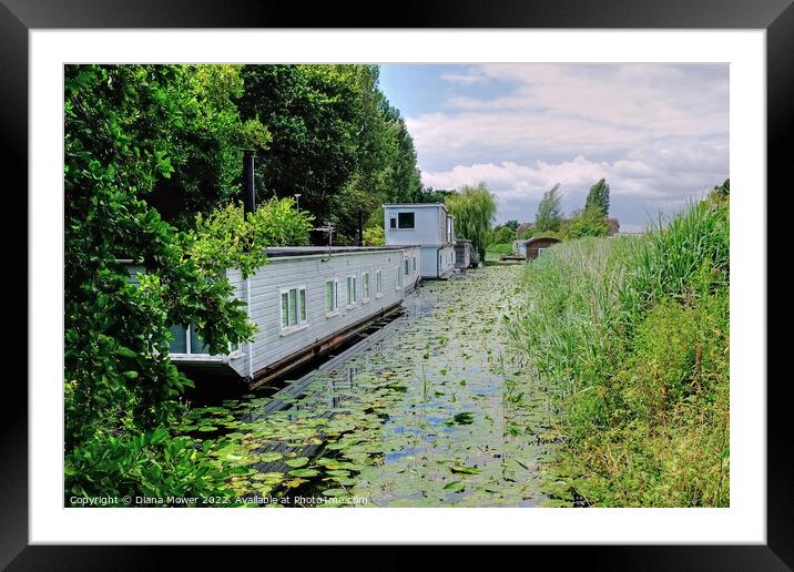 Chichester Canal Near the Marina Framed Mounted Print by Diana Mower