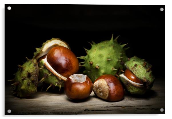 Conkers Acrylic by Martin Williams