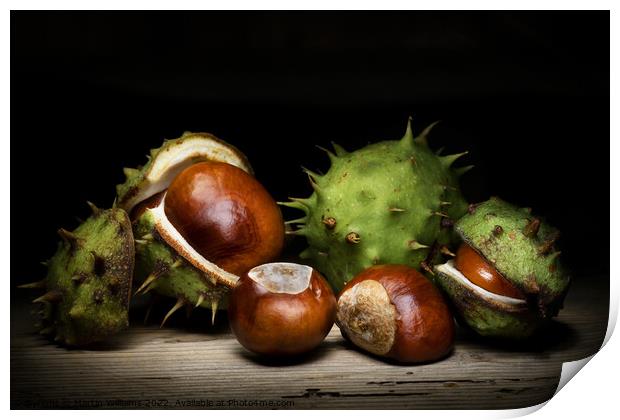 Conkers Print by Martin Williams
