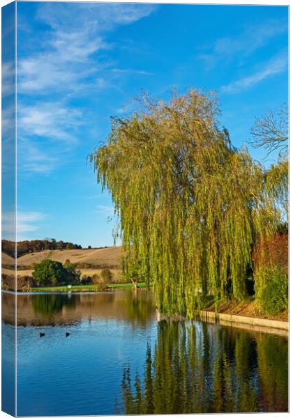 Weeping Willow Canvas Print by Joyce Storey