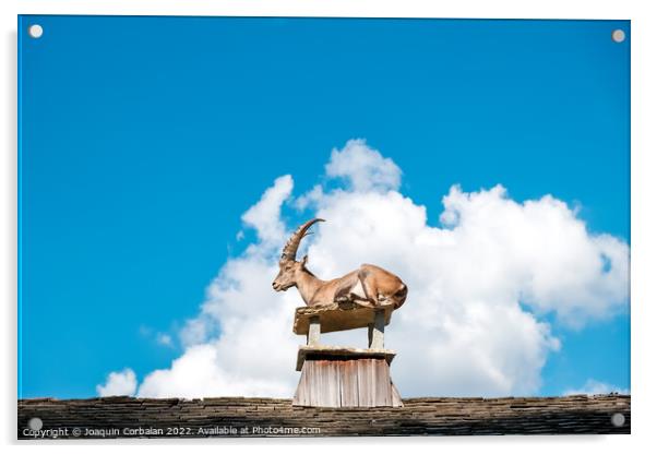 Alpine ibex, goats with long horns, perch on the roofs of houses Acrylic by Joaquin Corbalan