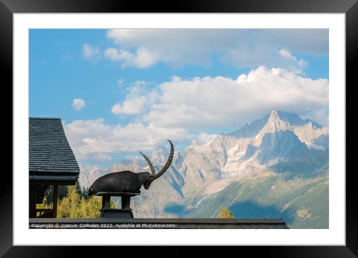 Alpine ibex, goats with long horns, perch on the roofs of houses Framed Mounted Print by Joaquin Corbalan