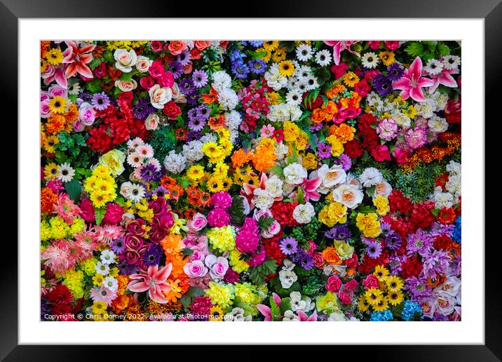 Wall of Artificial Flowers Framed Mounted Print by Chris Dorney