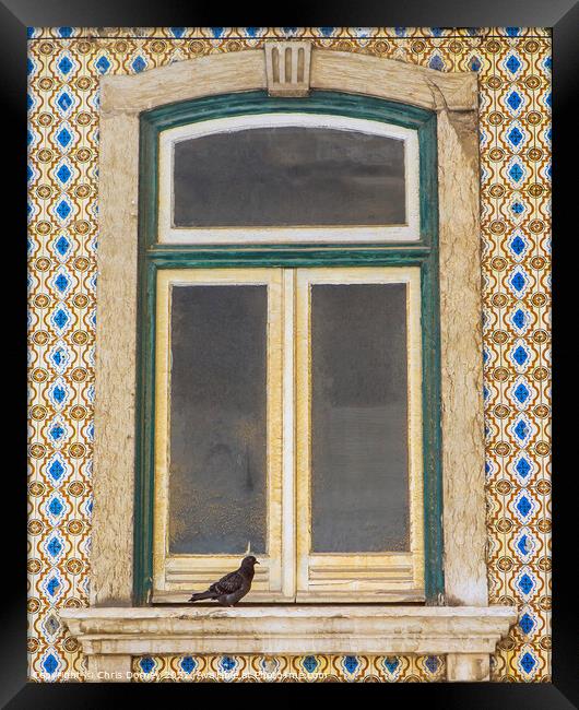 Old Window in Lisbon, Portugal Framed Print by Chris Dorney