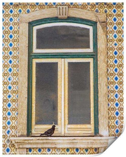 Old Window in Lisbon, Portugal Print by Chris Dorney