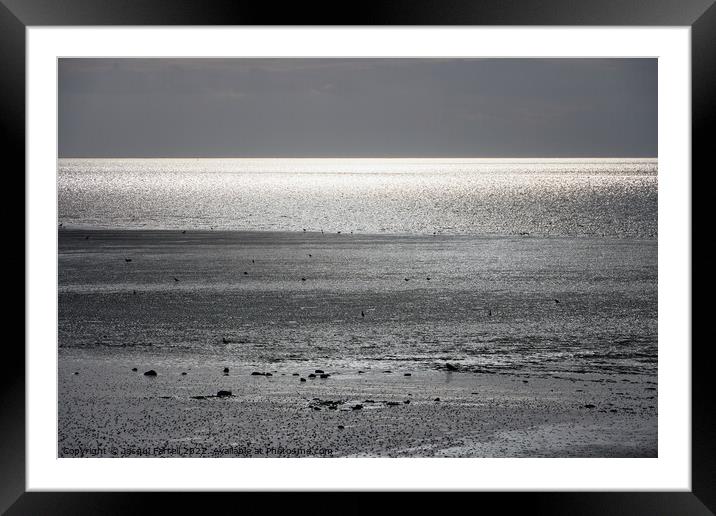 Minimalist Seascape  Framed Mounted Print by Jacqui Farrell