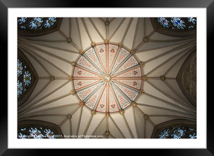 Chapter House Ceiling in York Minster Framed Mounted Print by Andrew Berry