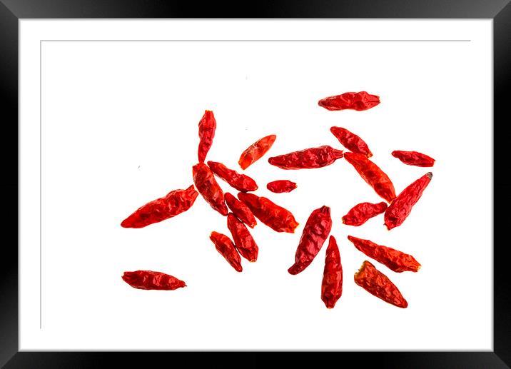 Whole Dried Chilli Peppers Framed Mounted Print by Antonio Ribeiro