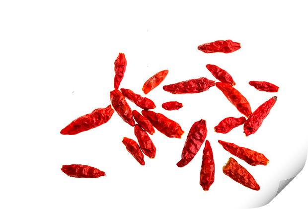 Whole Dried Chilli Peppers Print by Antonio Ribeiro