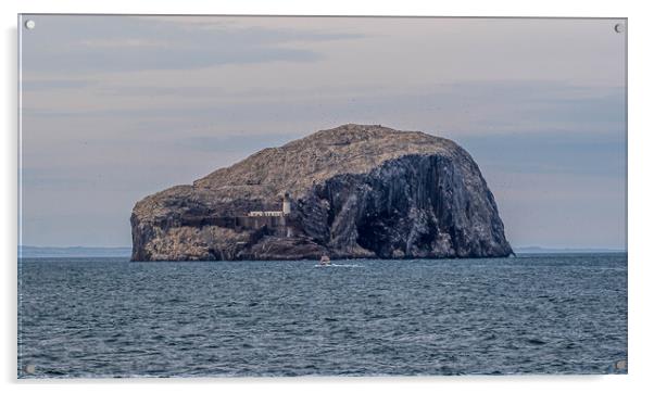 Bass Rock Acrylic by Alan Sinclair