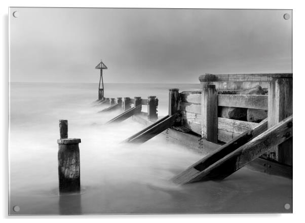 Seaton Groynes B&W  Acrylic by Anthony McGeever
