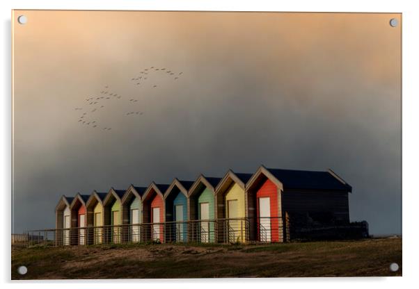 Blyth Beach Huts  Acrylic by Anthony McGeever