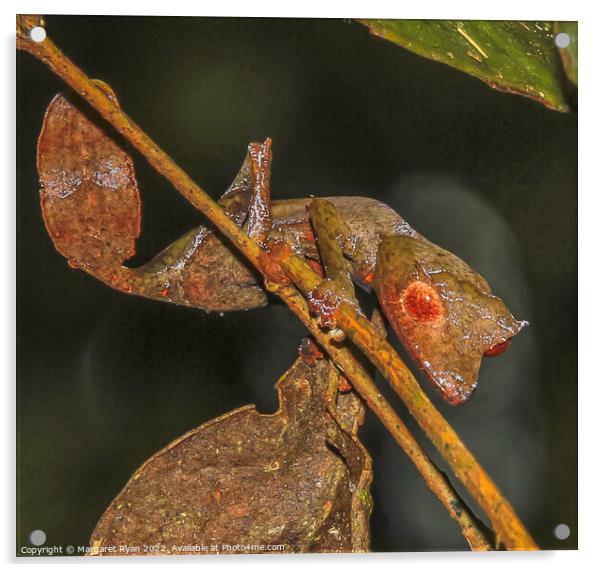 Leaf Chameleon Acrylic by Margaret Ryan