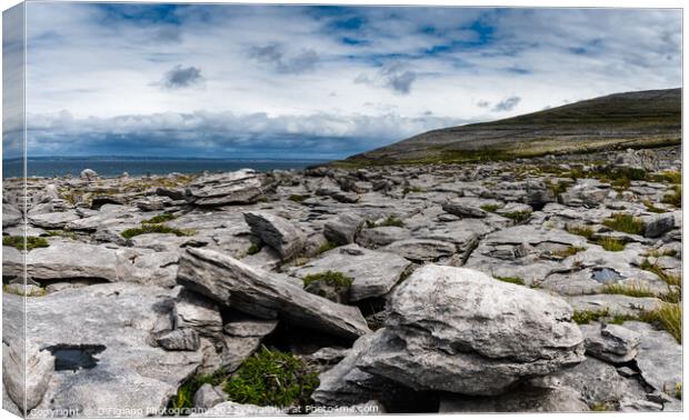 The Burren Coast Canvas Print by DiFigiano Photography