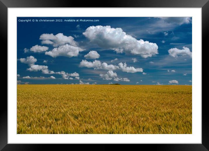 Rheinland-Pfalz Wheat Field Framed Mounted Print by liz christensen