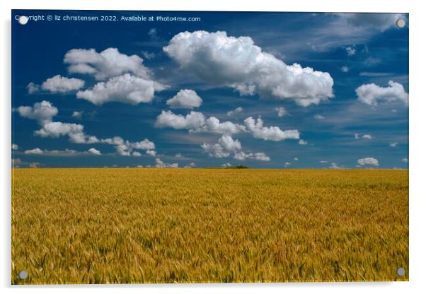 Rheinland-Pfalz Wheat Field Acrylic by liz christensen