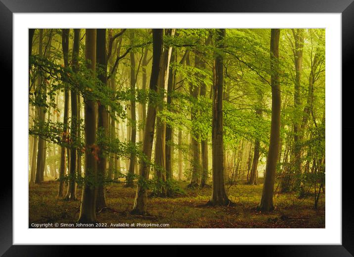 soft woodland light Framed Mounted Print by Simon Johnson
