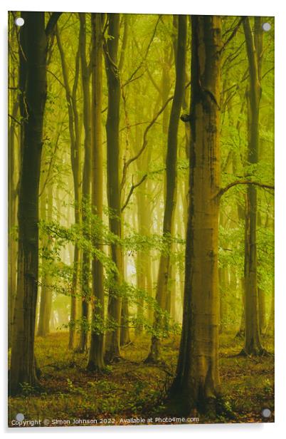 misty woodland Acrylic by Simon Johnson