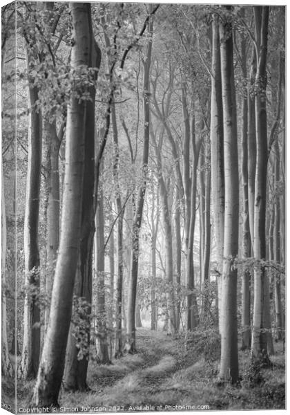 Woodland Monochrome Canvas Print by Simon Johnson