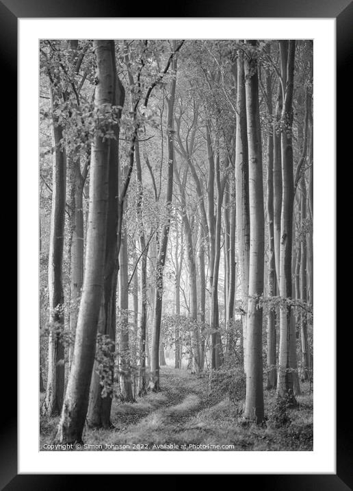 Woodland Monochrome Framed Mounted Print by Simon Johnson