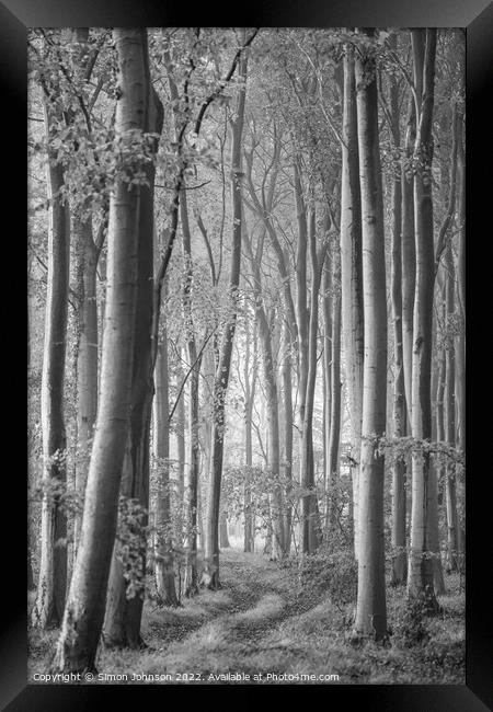 Woodland Monochrome Framed Print by Simon Johnson