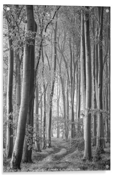 Woodland Monochrome Acrylic by Simon Johnson