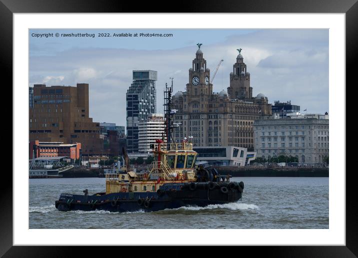 Tug Boat And Liver Building Framed Mounted Print by rawshutterbug 