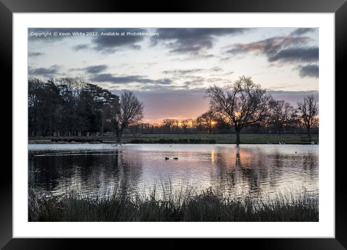 January sunrise over heron pond Bushy Park Framed Mounted Print by Kevin White