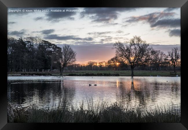 January sunrise over heron pond Bushy Park Framed Print by Kevin White