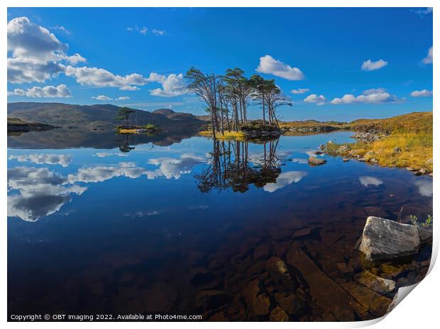 Loch Assynt Autumn Pine Reflection West Highland Scotland Print by OBT imaging