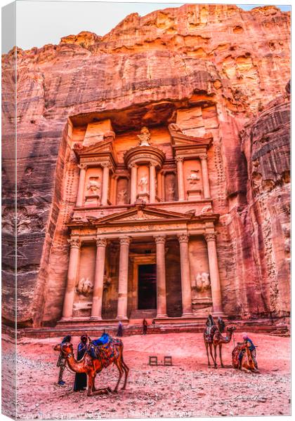Camels Rose Red Treasury Afternoon Siq Petra Jordan  Canvas Print by William Perry