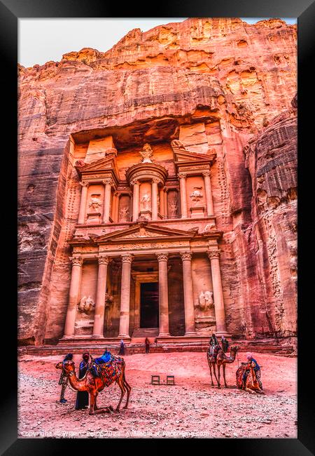Camels Rose Red Treasury Afternoon Siq Petra Jordan  Framed Print by William Perry