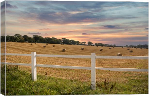 hay bales,  Cornwall countryside autumn Canvas Print by kathy white