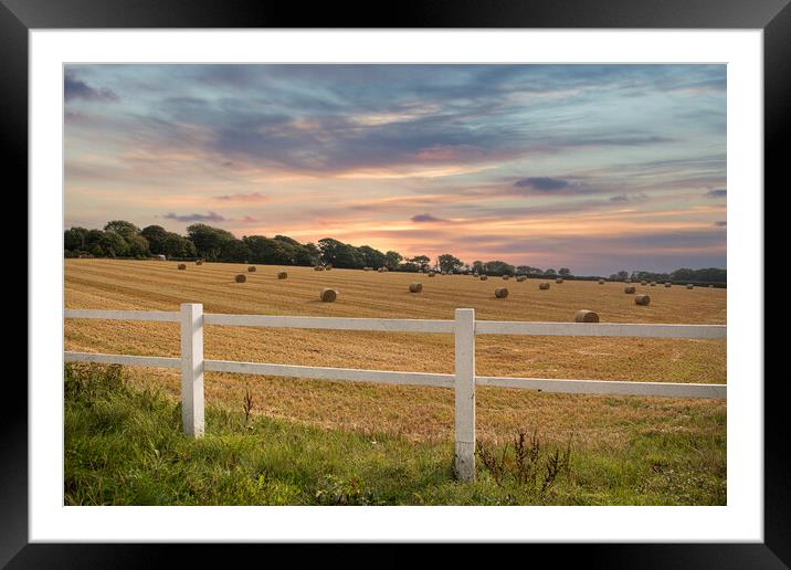  hay bales,  Cornwall countryside autumn Framed Mounted Print by kathy white