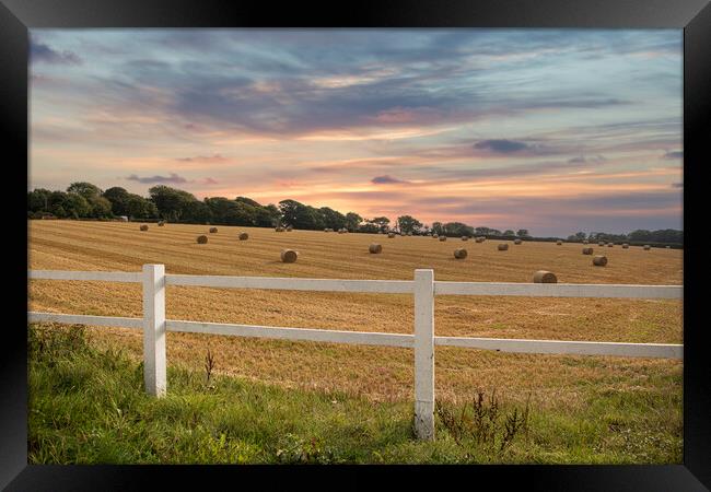 hay bales,  Cornwall countryside autumn Framed Print by kathy white