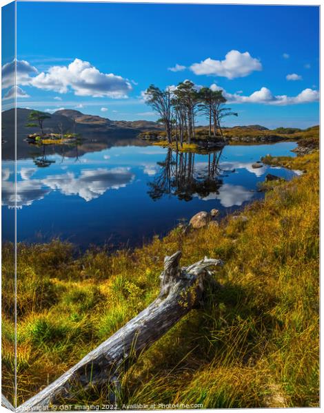 Loch Assynt Lochinver Road Pine Reflection North West Scotland Canvas Print by OBT imaging