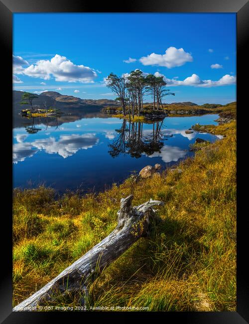 Loch Assynt Lochinver Road Pine Reflection North West Scotland Framed Print by OBT imaging