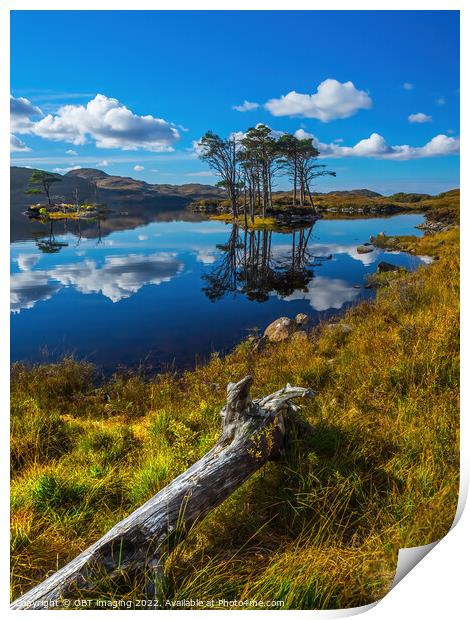 Loch Assynt Lochinver Road Pine Reflection North West Scotland Print by OBT imaging