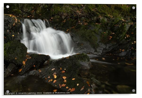 Waterfall in Autumn  Acrylic by Amanda Leeming