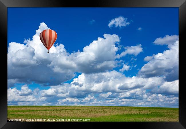 Colorful hot air balloons over green rice field. Framed Print by Sergey Fedoskin