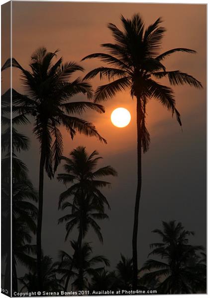 Palm Trees at Sunrise Benaulim Canvas Print by Serena Bowles