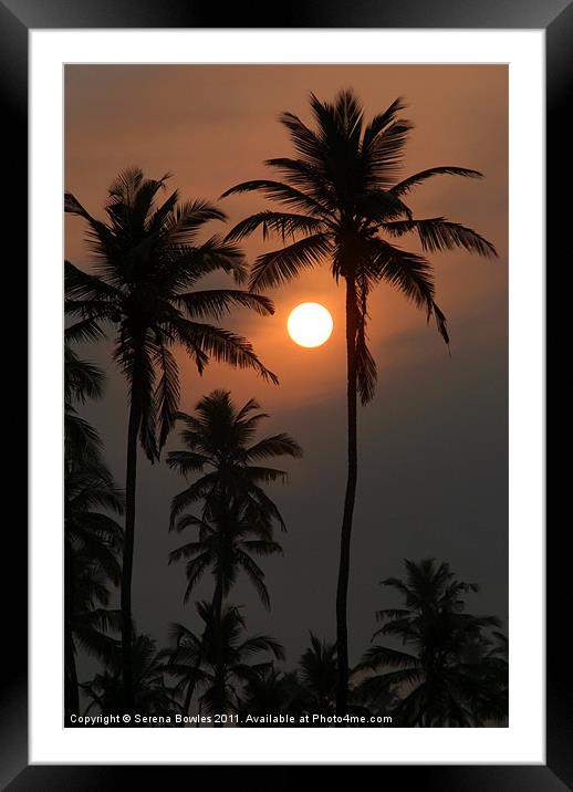 Palm Trees at Sunrise Benaulim Framed Mounted Print by Serena Bowles