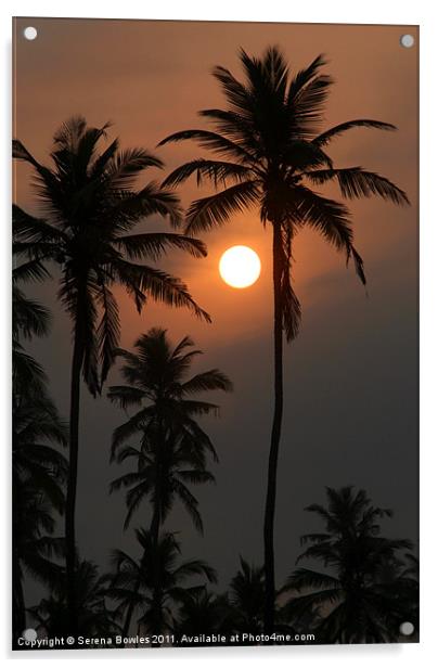 Palm Trees at Sunrise Benaulim Acrylic by Serena Bowles
