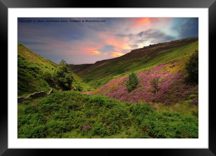 Peak District Sunset Heather Moor  Framed Mounted Print by Alison Chambers