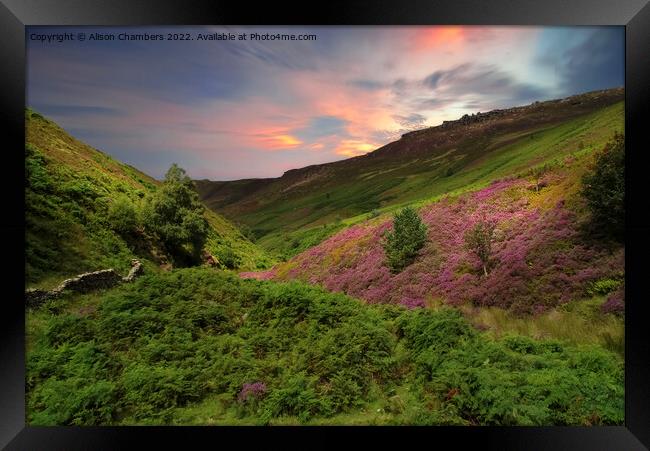 Peak District Sunset Heather Moor  Framed Print by Alison Chambers