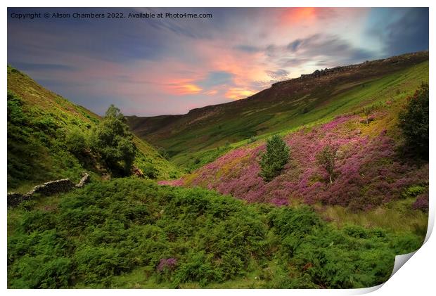 Peak District Sunset Heather Moor  Print by Alison Chambers