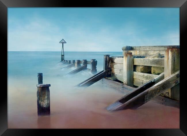 Seaton Sluice Groynes Framed Print by Anthony McGeever